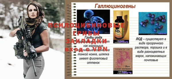 дурь Арсеньев