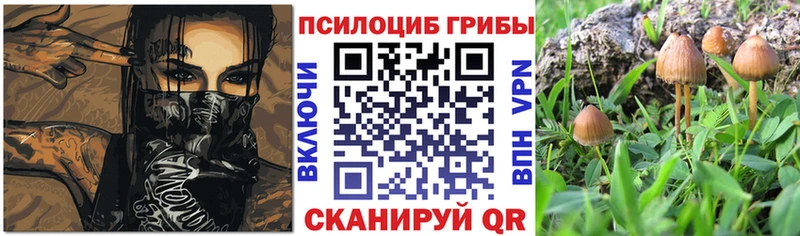 Псилоцибиновые грибы GOLDEN TEACHER  Талица 